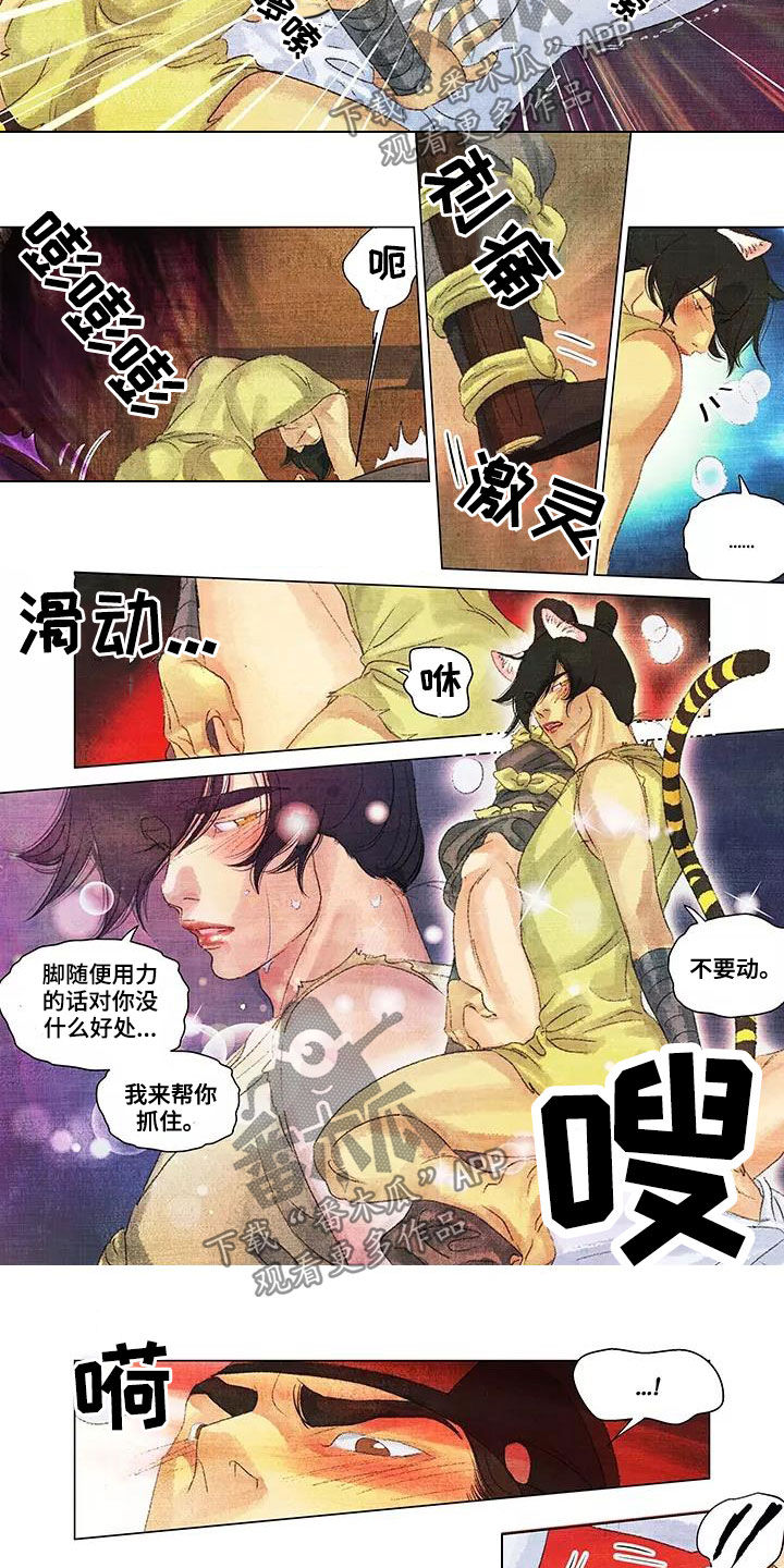 第38章：耀眼的光5