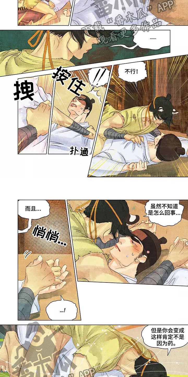 第38章：耀眼的光1