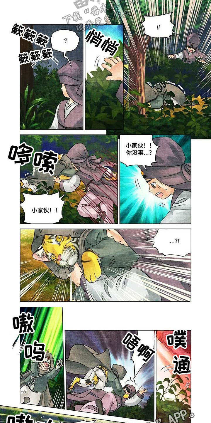 第4章：小虎崽1