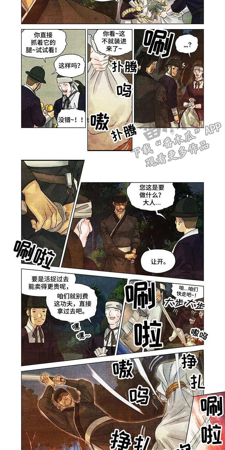 第4章：小虎崽5
