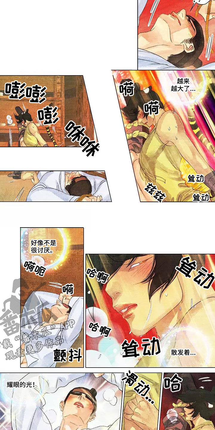 第38章：耀眼的光6