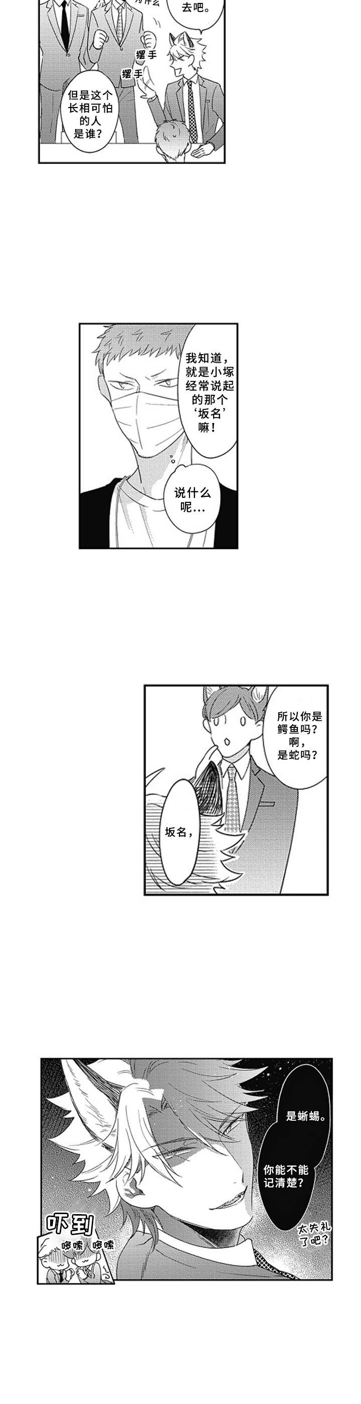 第1章：毛茸茸6