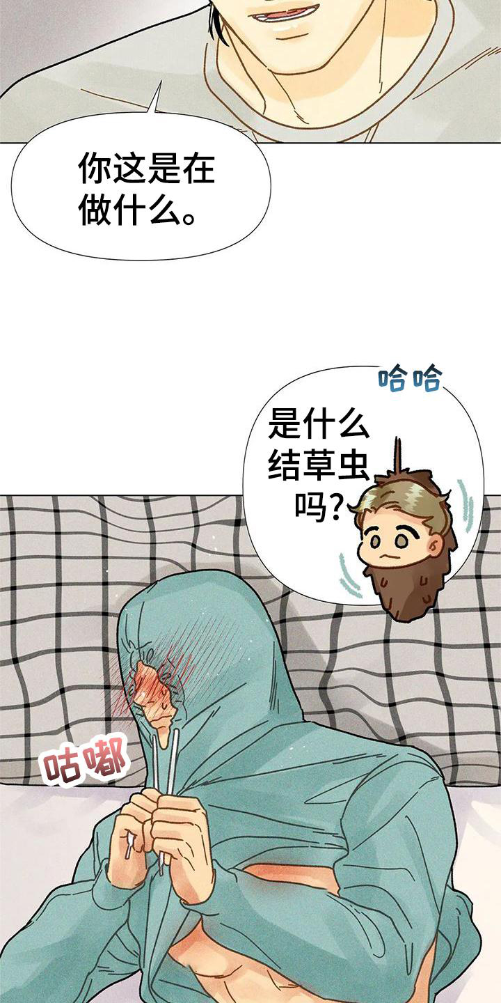 第36章：圣诞快乐18