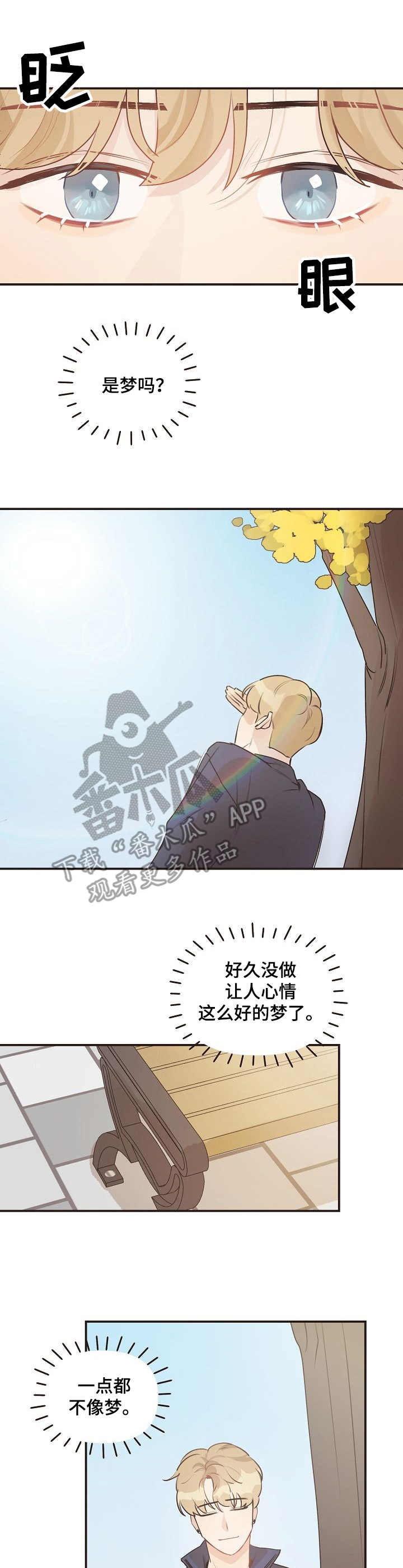 第41章：迷茫8