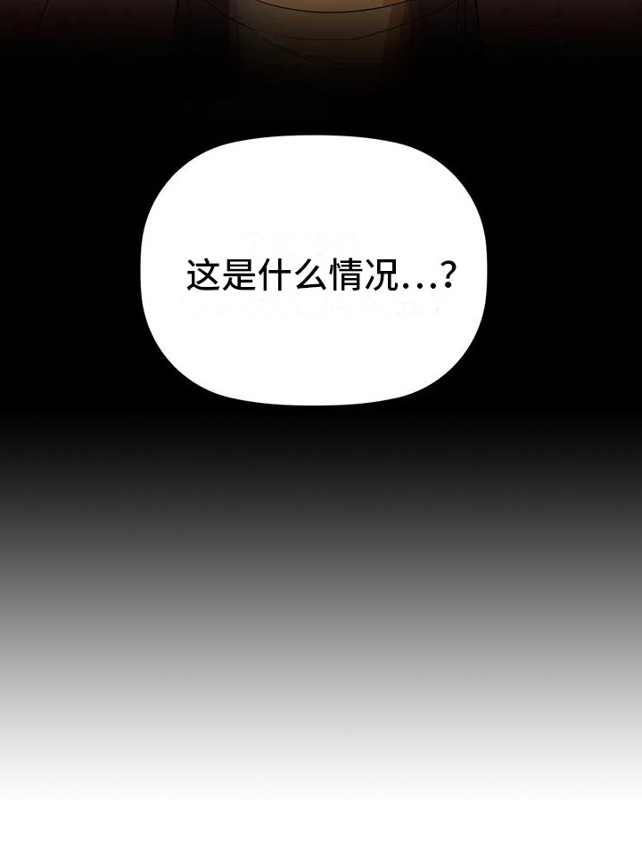 第16章：不管了20