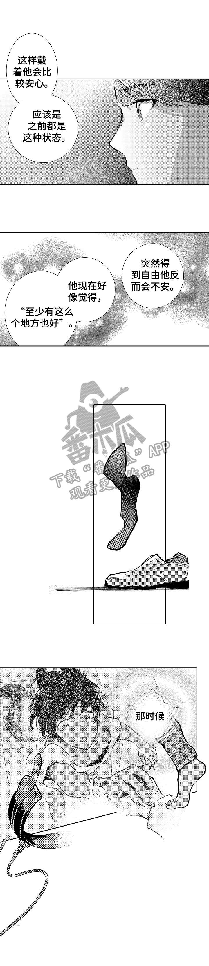 第21章：强大5