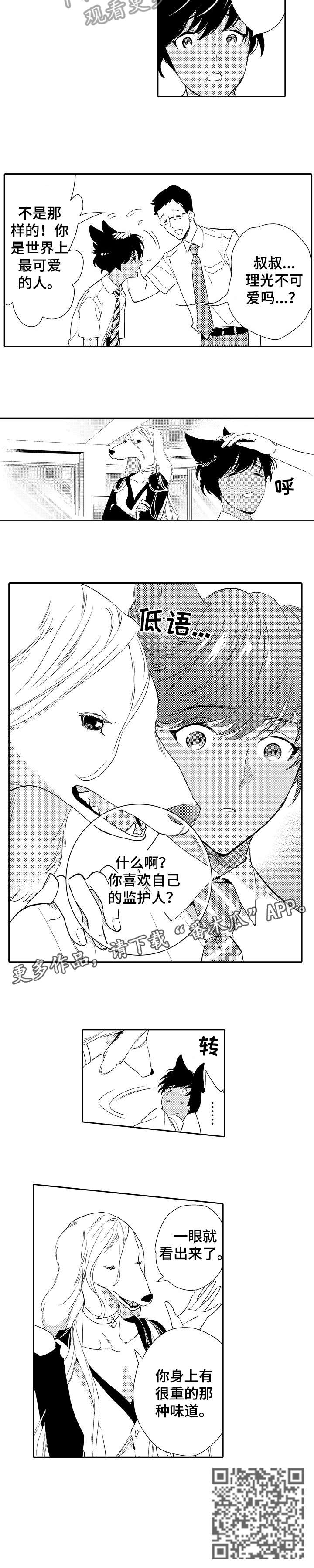 第13章：看穿8