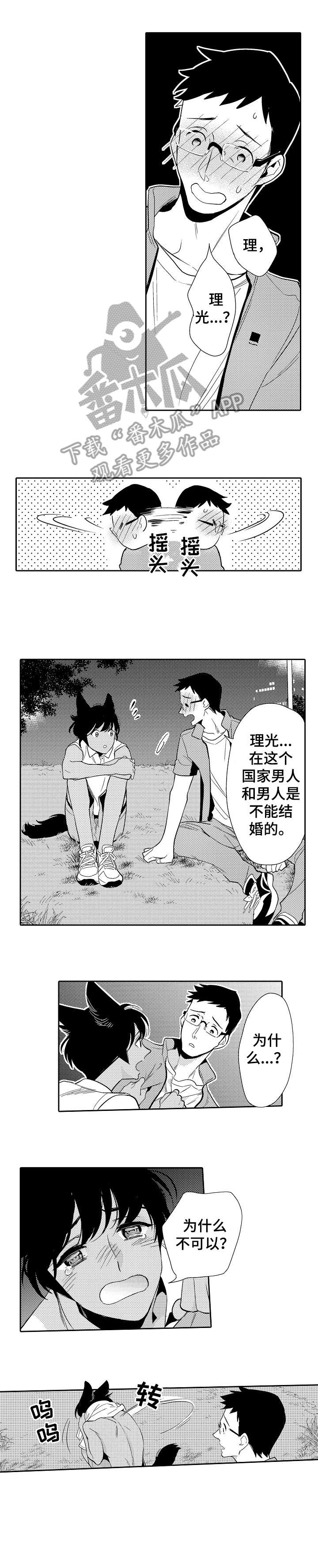 第18章：冲突4