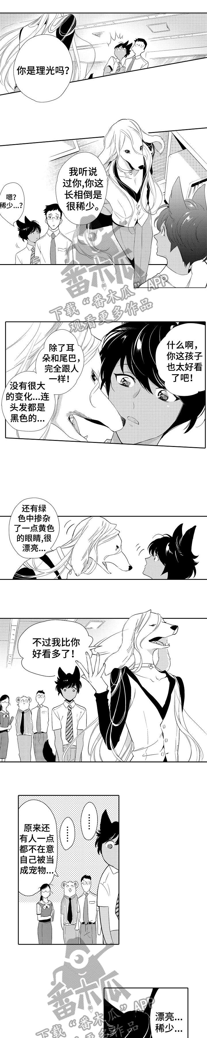 第13章：看穿7
