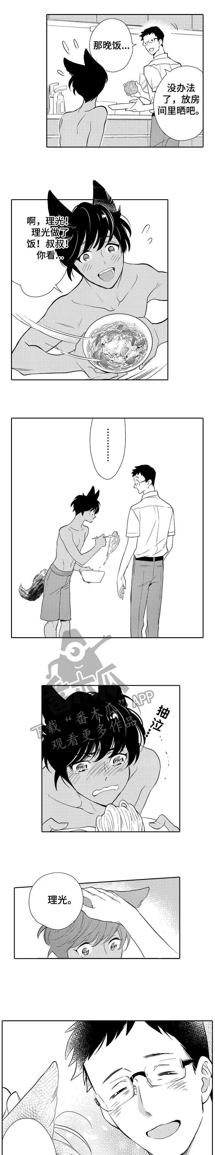 第11章：发烧0