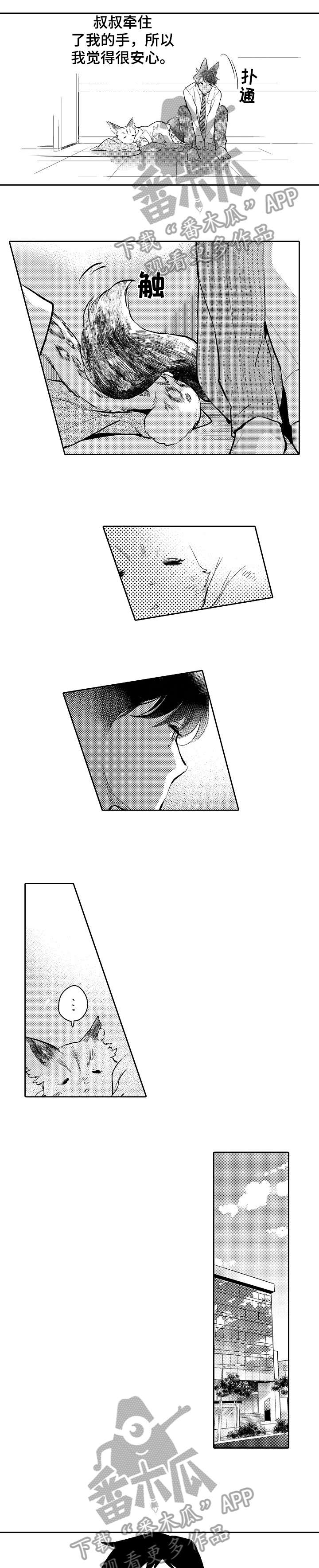 第21章：强大6