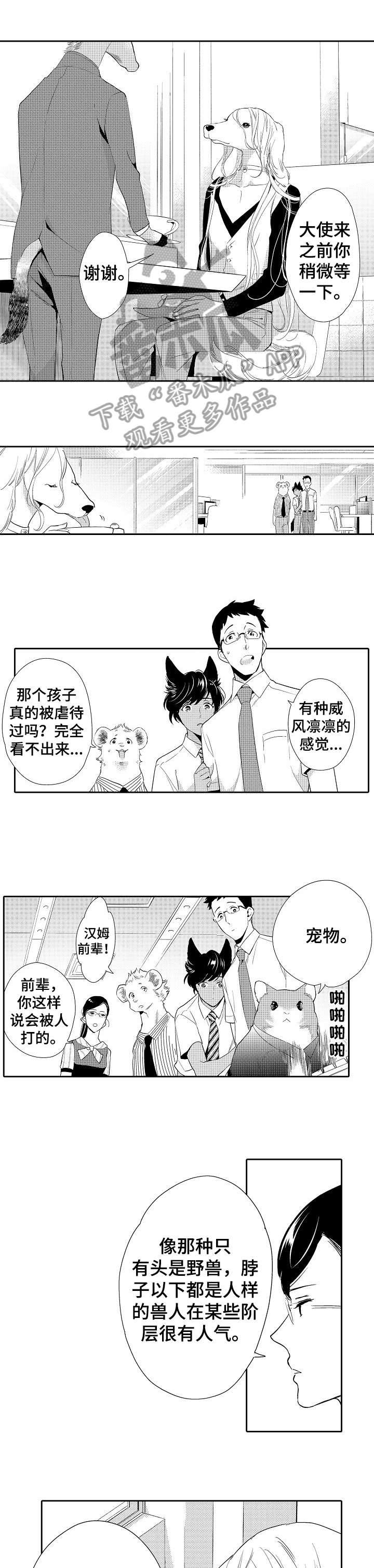 第13章：看穿5