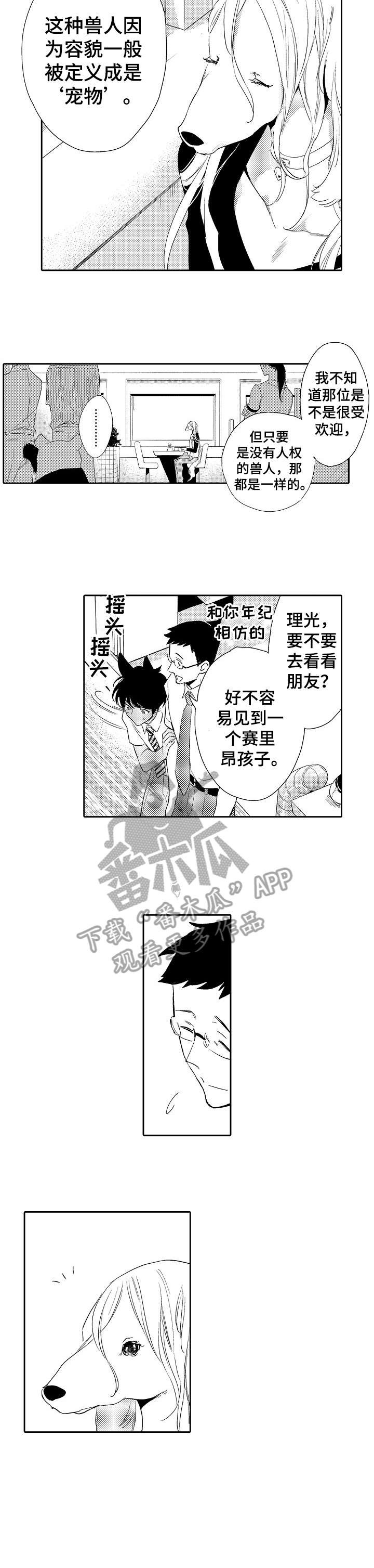 第13章：看穿6
