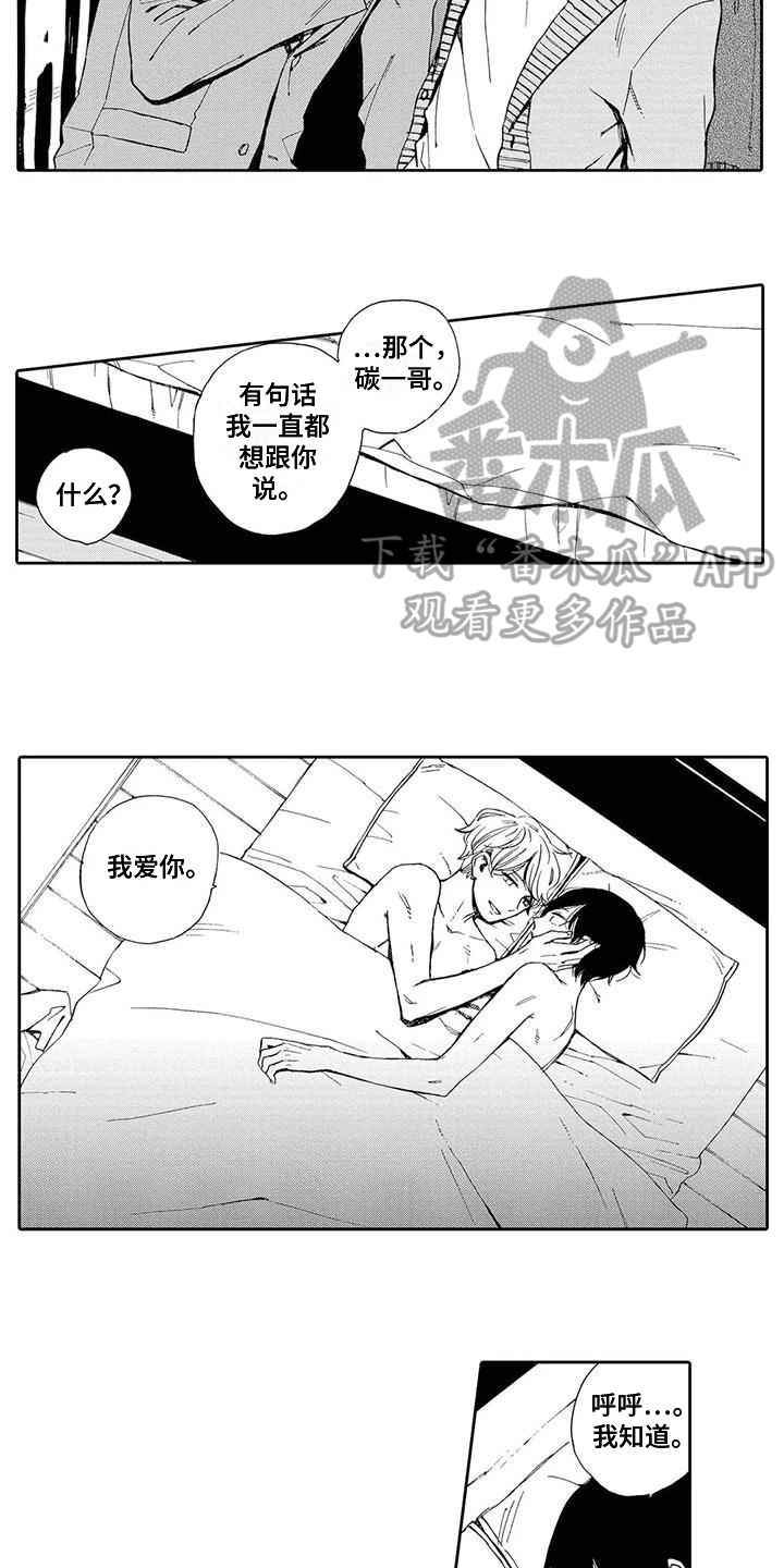 第19章：【番外】我爱你10
