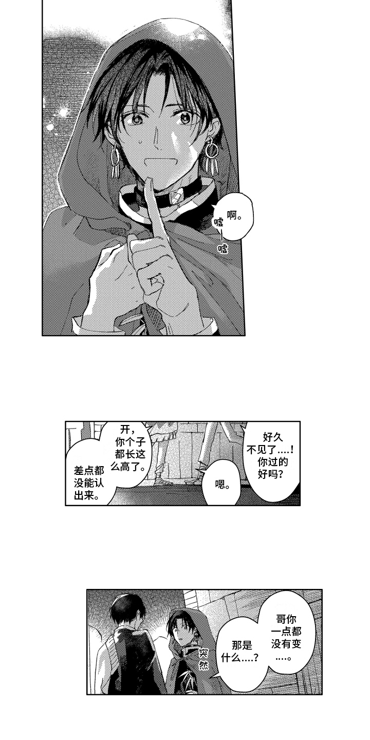 第22章：抑制剂8