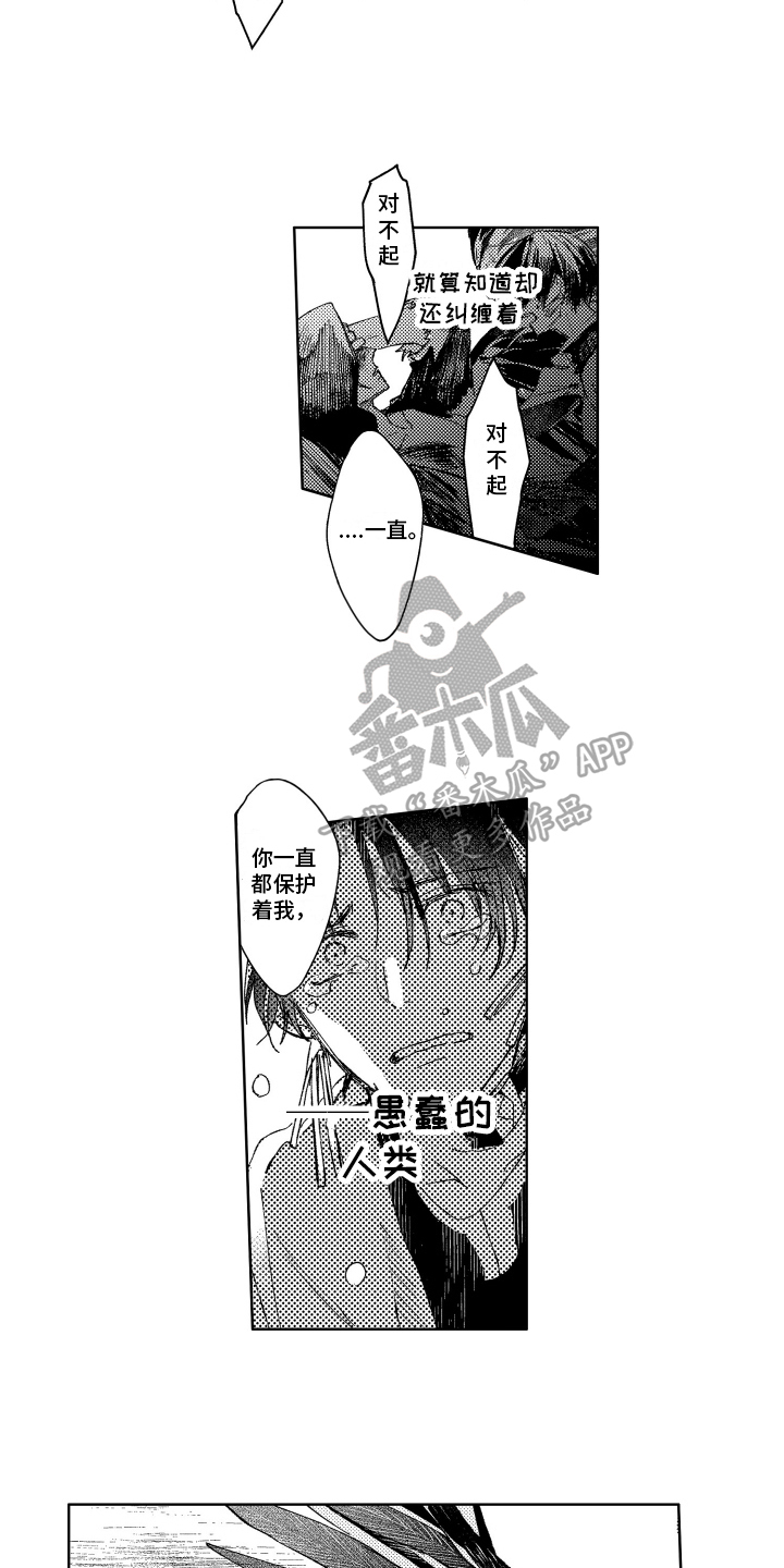 第15章：冲突11