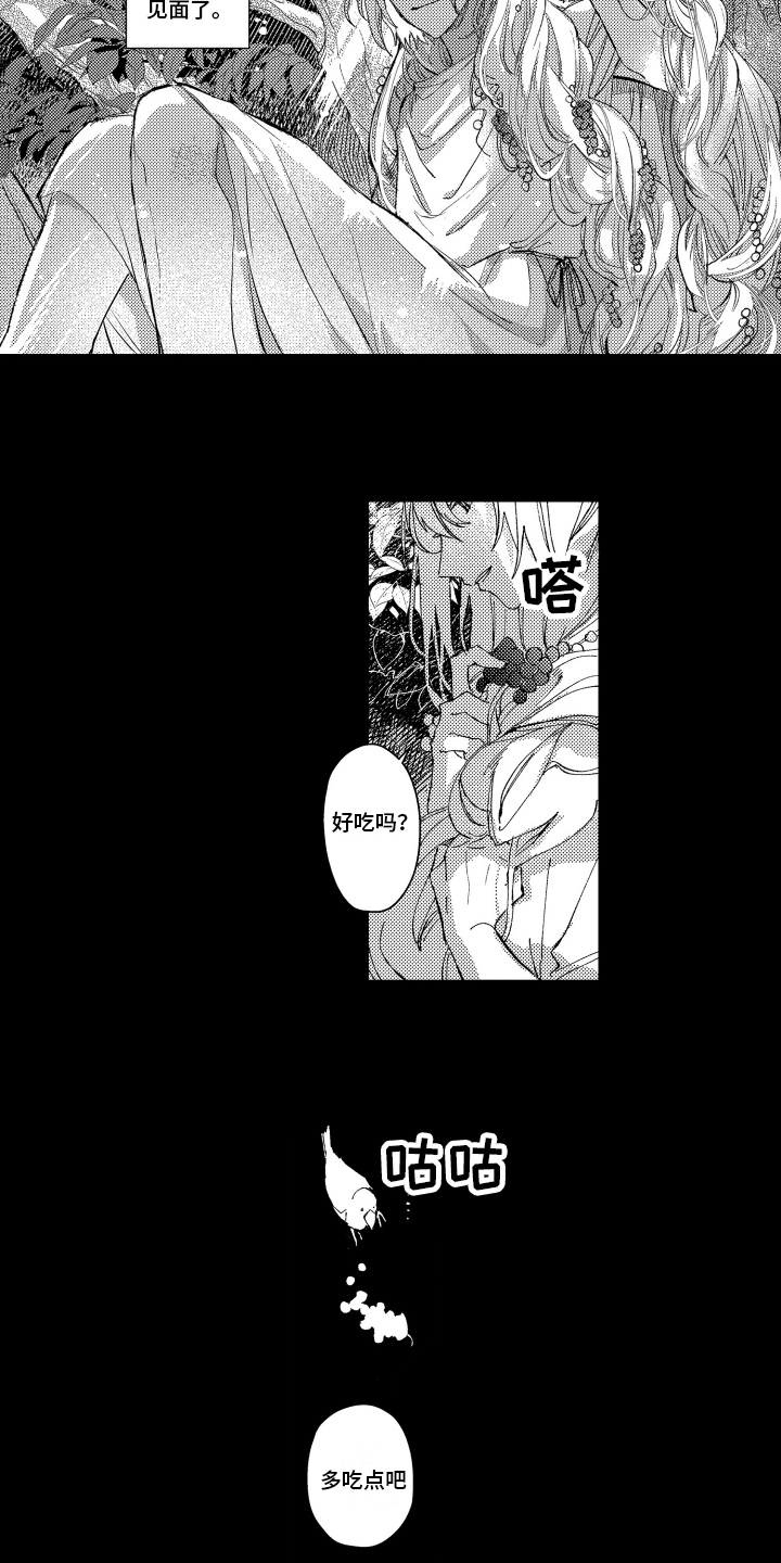 第17章：拯救7
