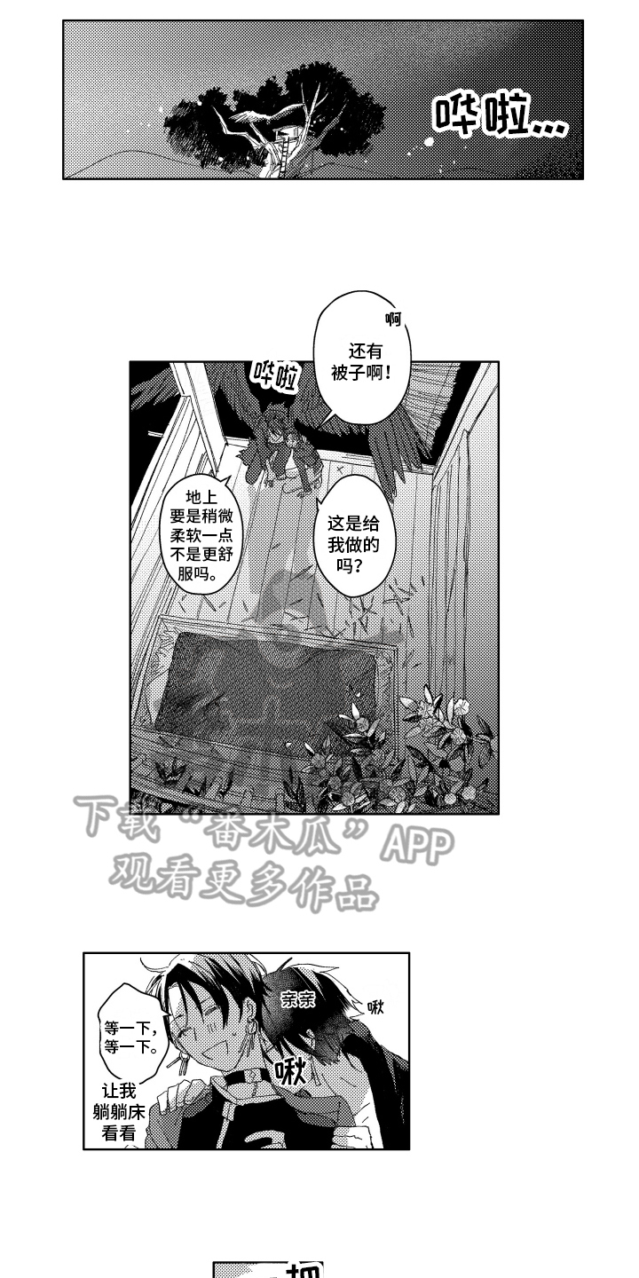 第23章：约定5