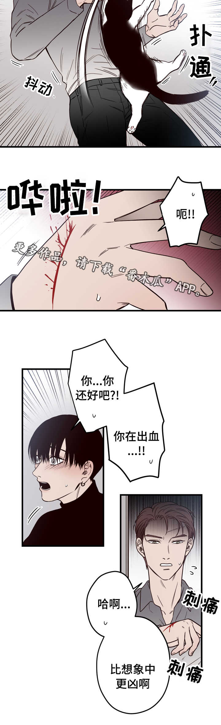 第15章：窗外5