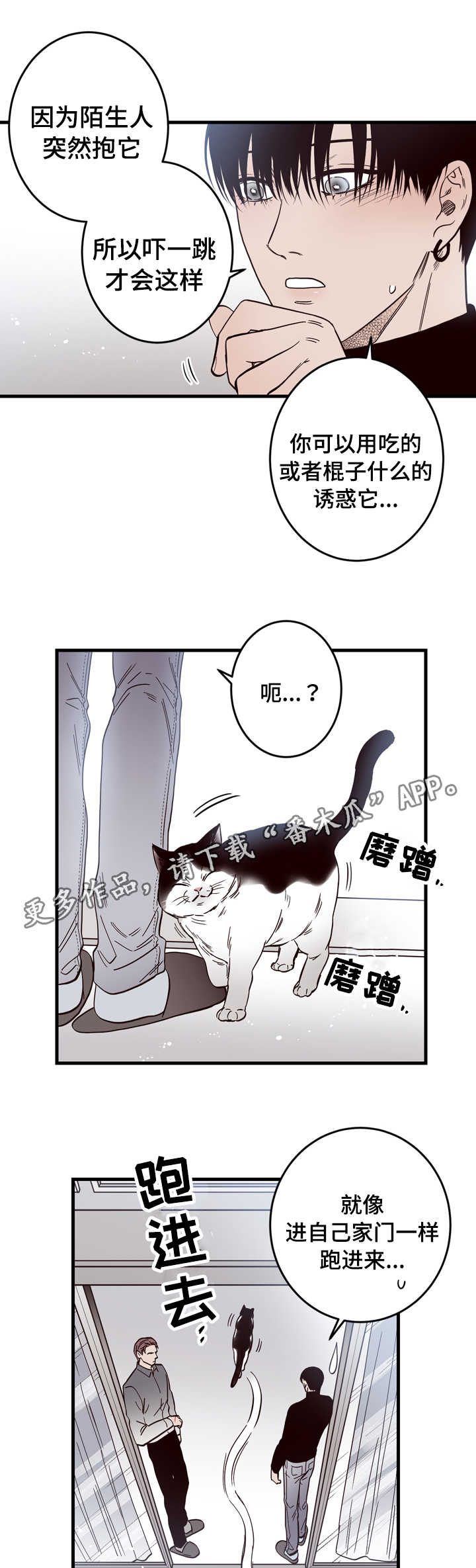 第15章：窗外6