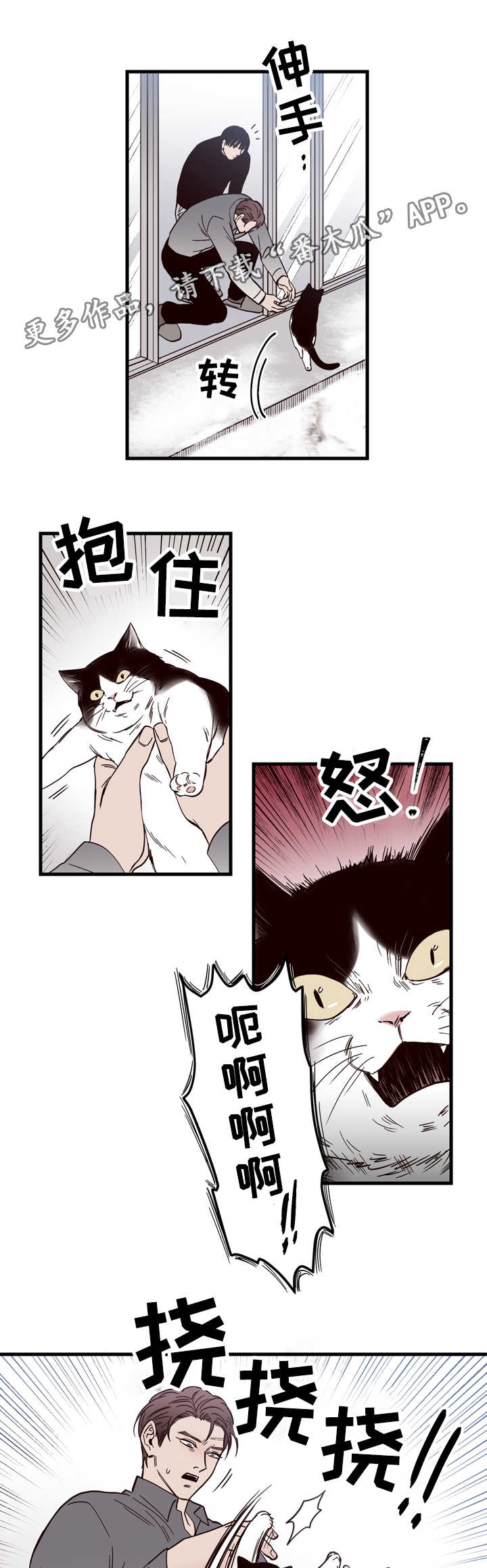第15章：窗外4