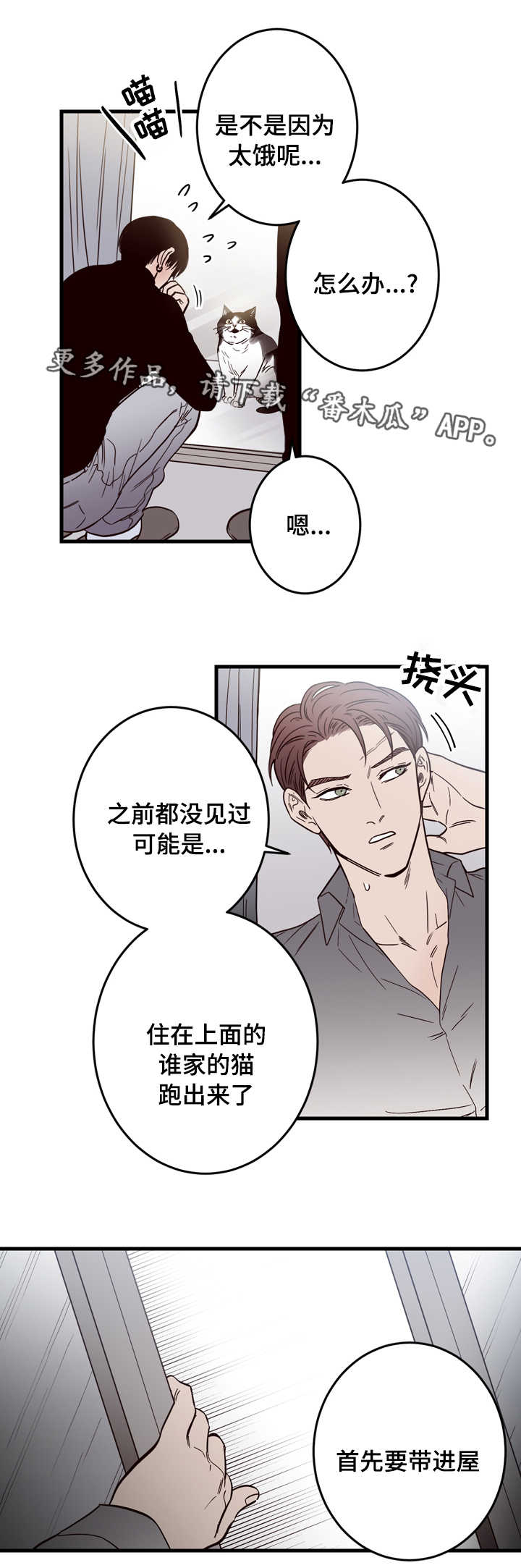 第15章：窗外3