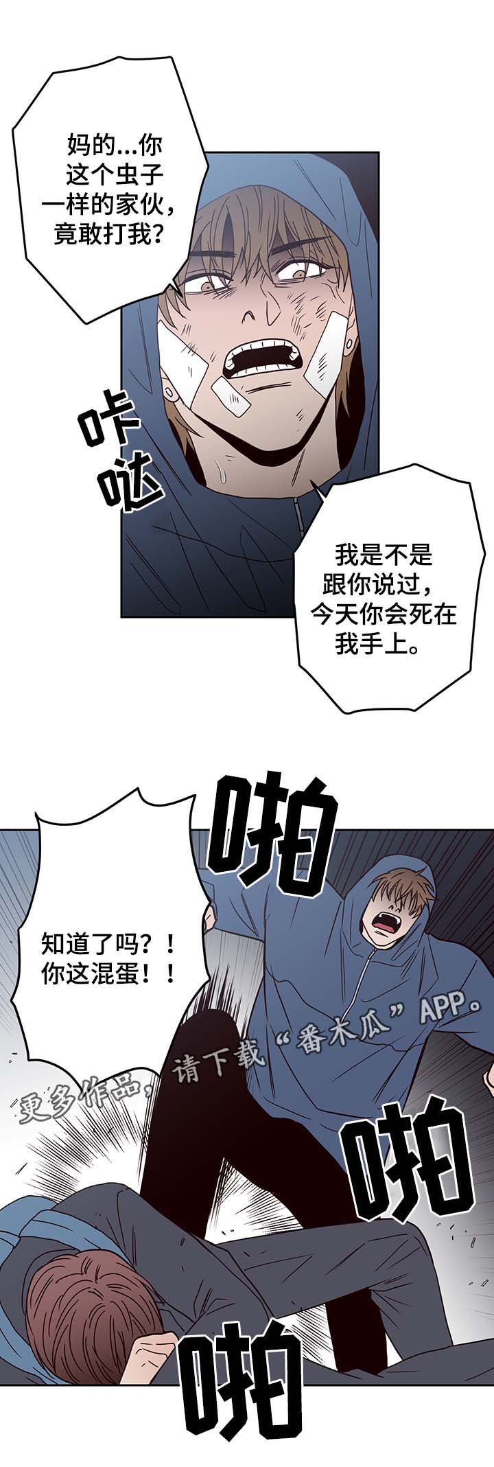 第46章：报复11