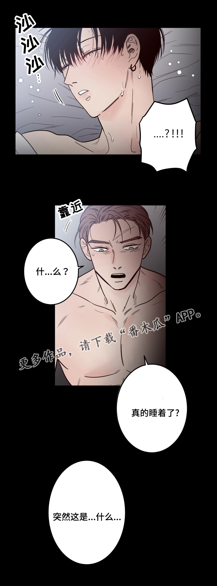 第21章：不一样5