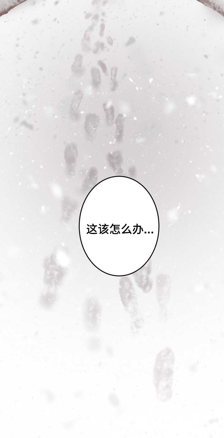 第2章：杀了你11