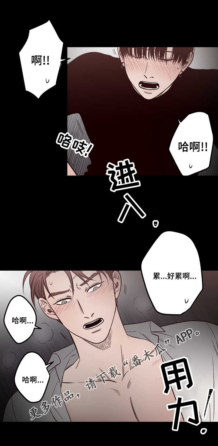 第12章：实情5