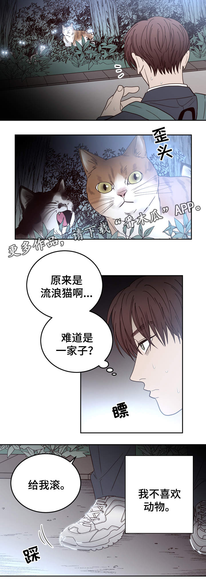 第44章：校园欺凌11