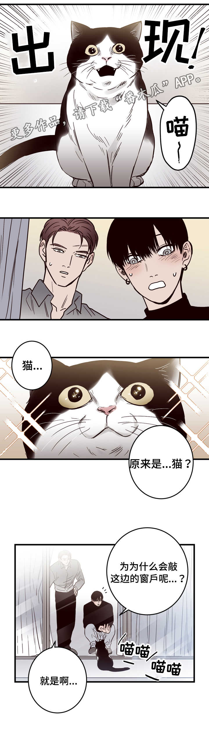 第15章：窗外2