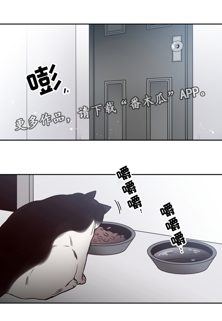 第41章：逃离9