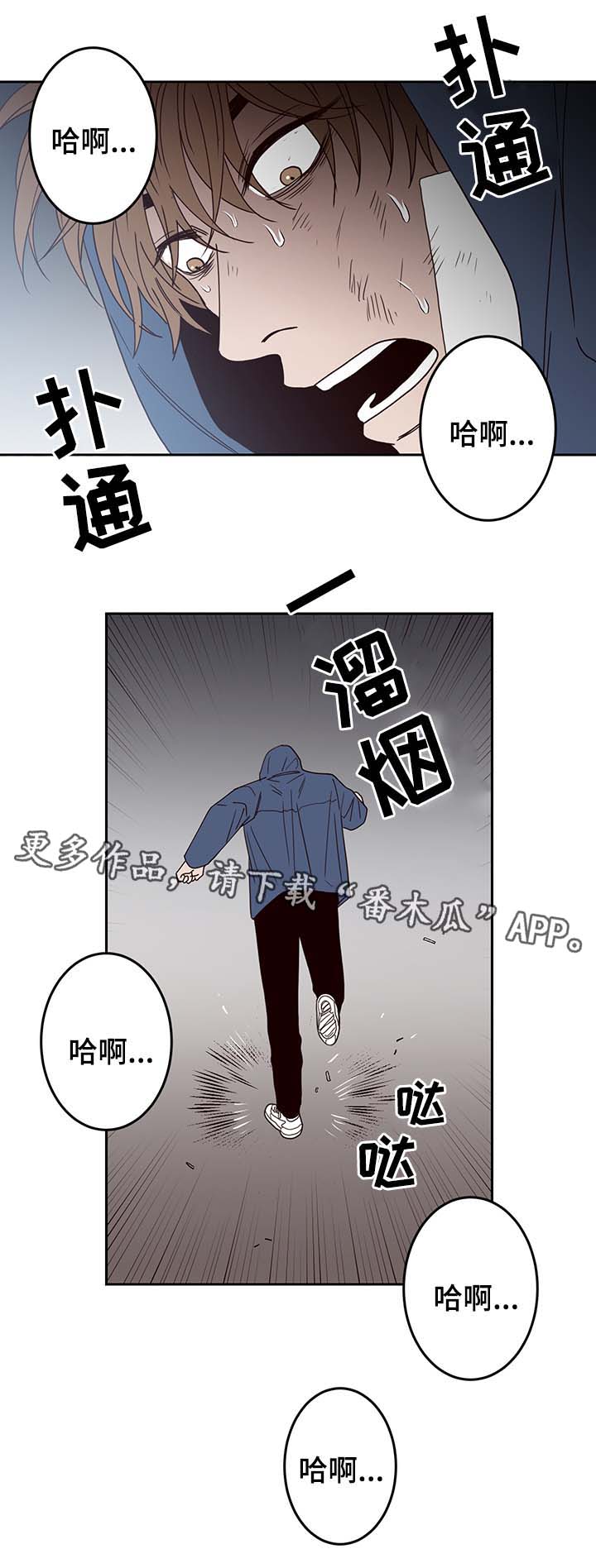 第46章：报复14