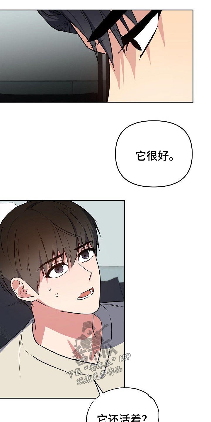 第33章：小狗14