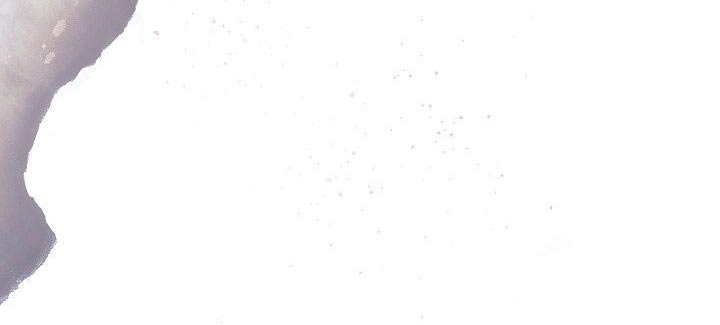 第49章：笑容9