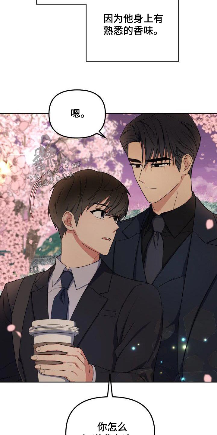第88章：樱花19