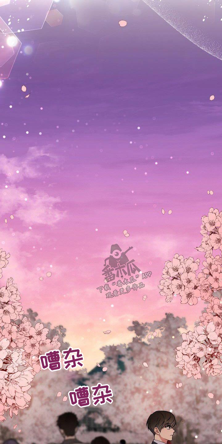 第88章：樱花16