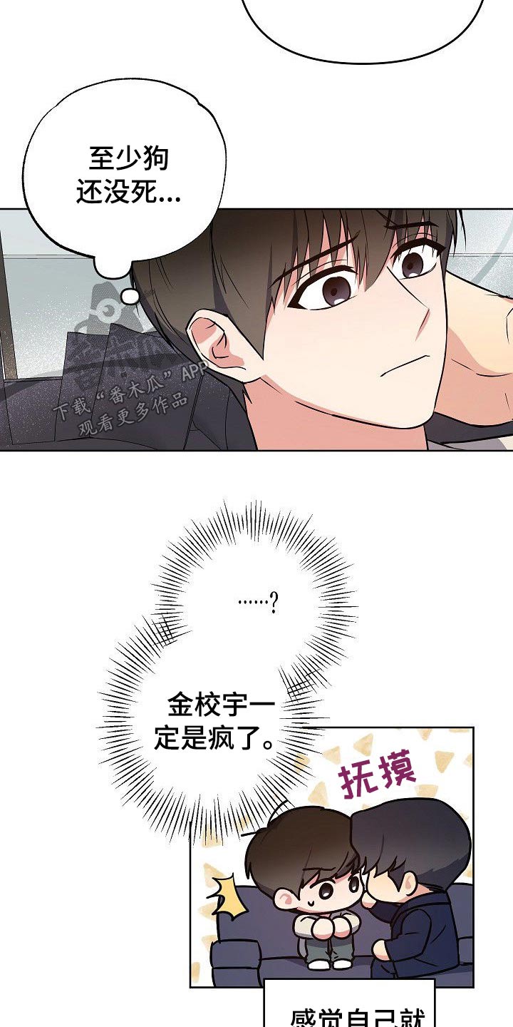 第33章：小狗16