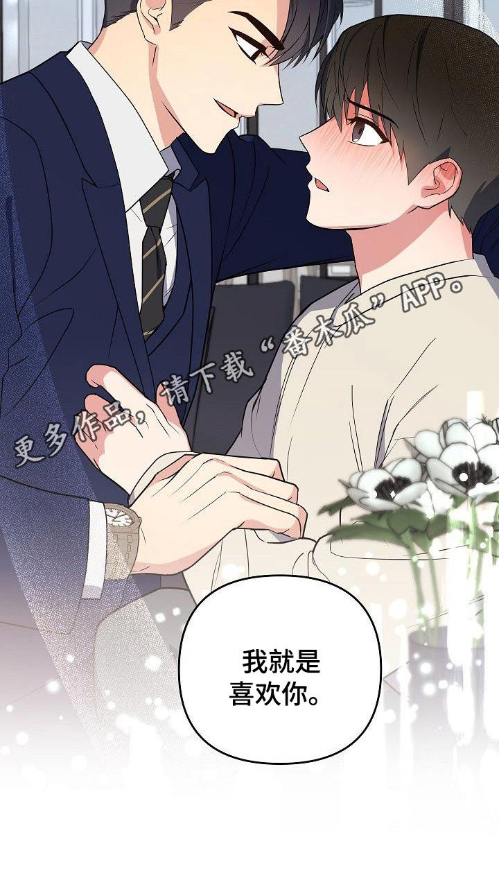 第34章：喜欢上你了19