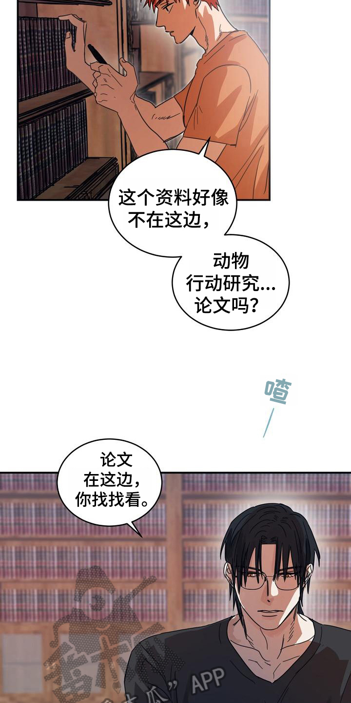 第13章：躲开太阳的办法：找资料12