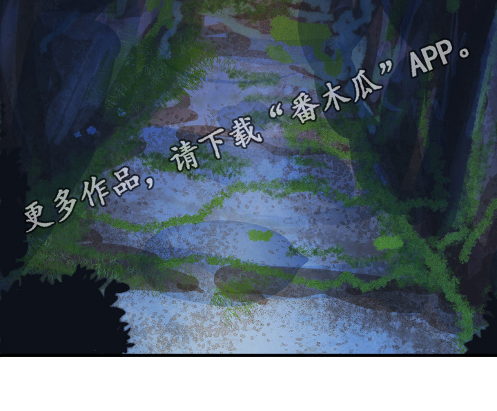 第44章：从胸口开始的骑士精神：启程16