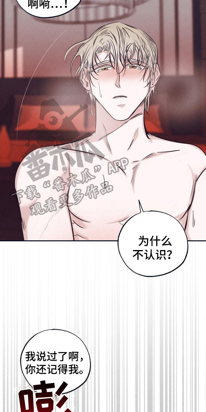 第28章：白衣恶魔：放弃11