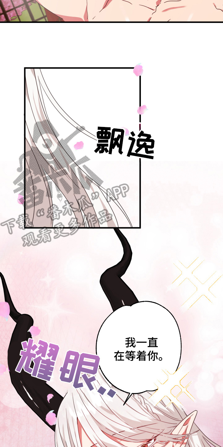 第48章：从胸口开始的骑士精神：美丽魔王17