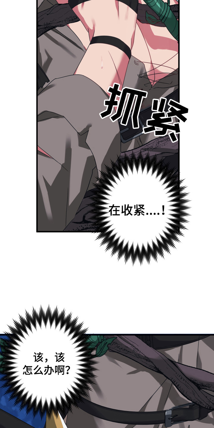 第46章：从胸口开始的骑士精神：期待1