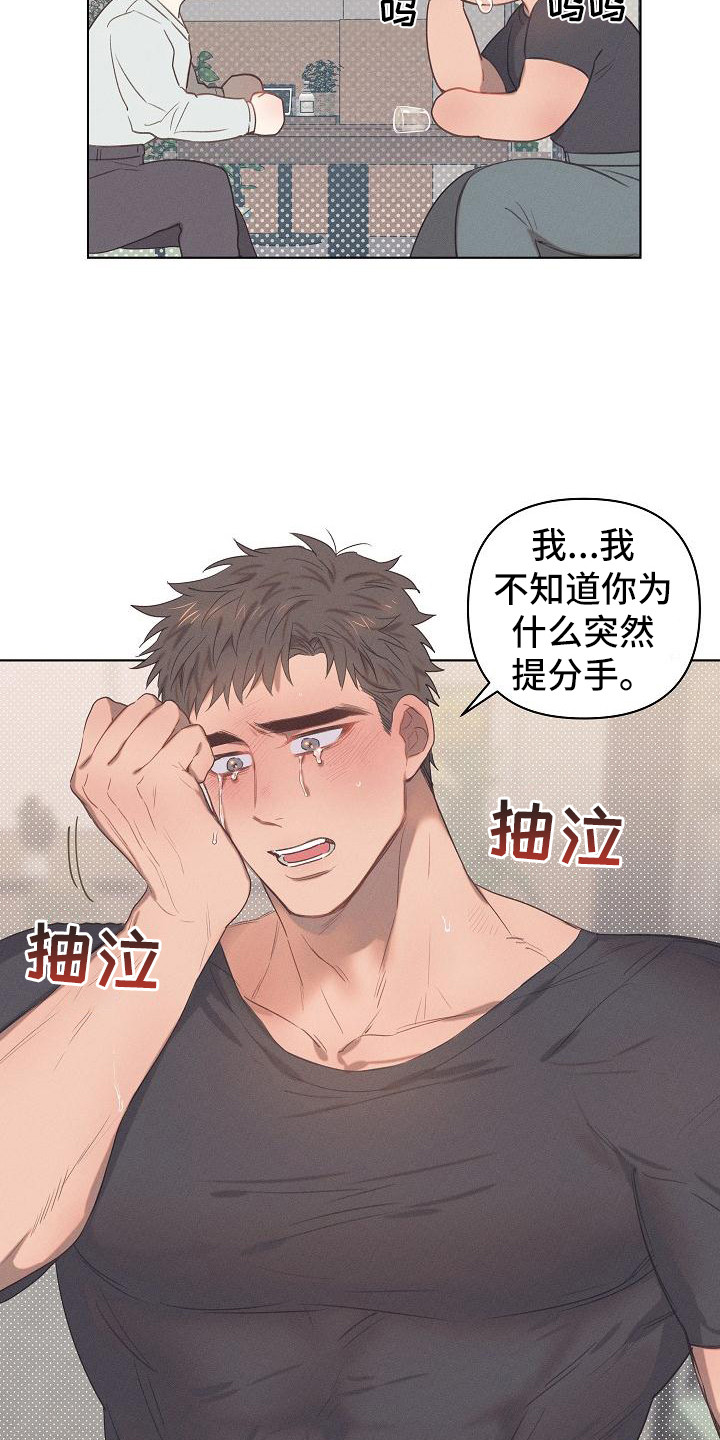 第3章：爱的泪滴：分手吧10