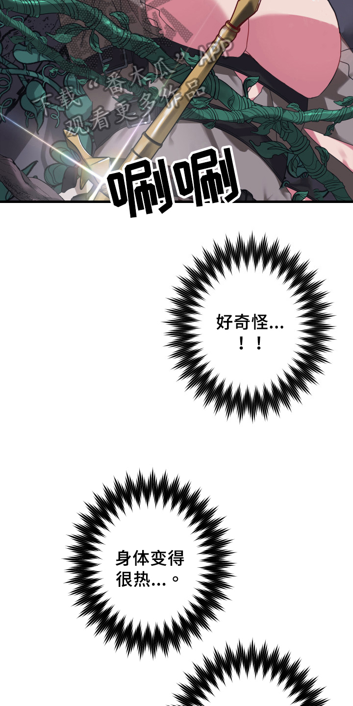 第46章：从胸口开始的骑士精神：期待10