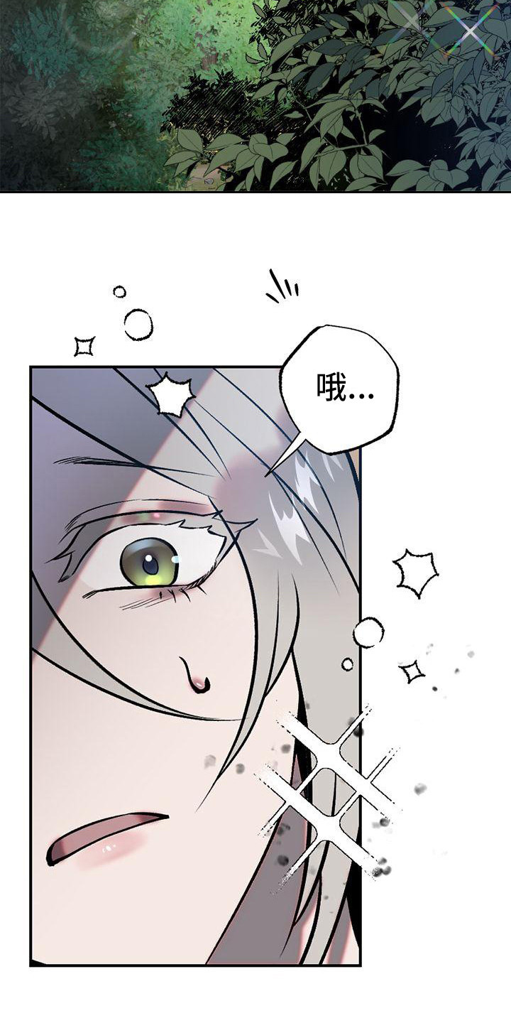第1章：故事序章14