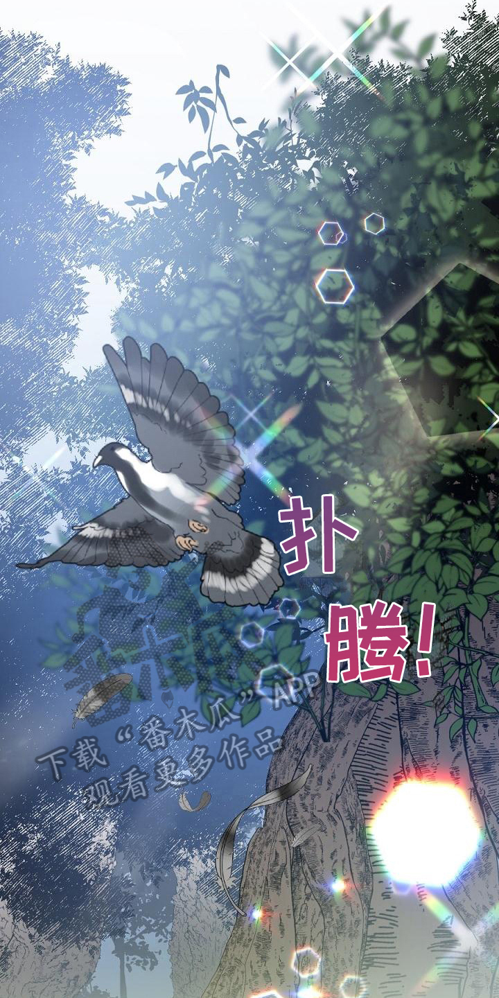 第17章：用什么报恩呢：山神2