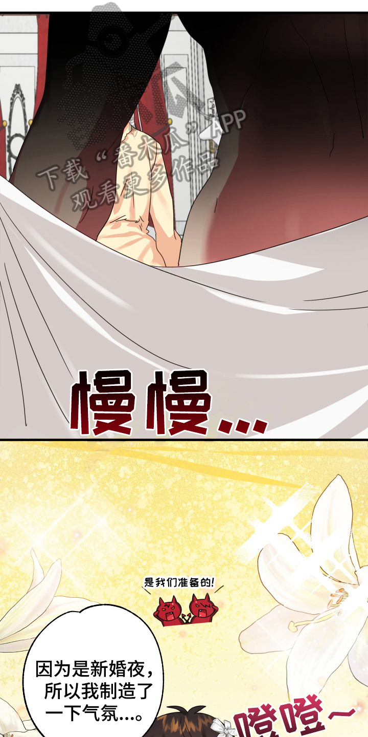第54章：从胸口开始的骑士精神：觉悟（完）7